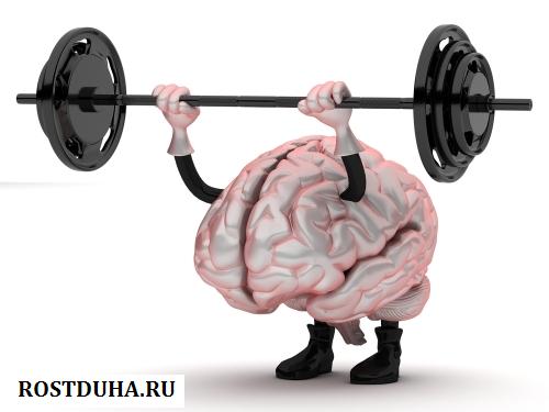 Как тренировать свой мозг
